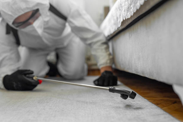 Professional Bed Bug Control technician working in Pharr, TX